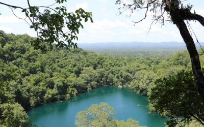 Efemérides 100 | 12 de noviembre.