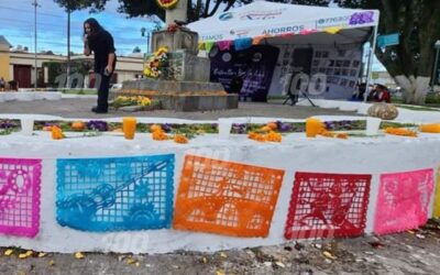 ¿Cuál es la historia del Festival Estrellas Bajo la Luna?