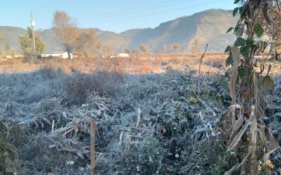 Quetzaltenango amanece un grado bajo cero