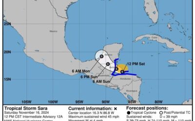 Boletín informativo 479-2024.