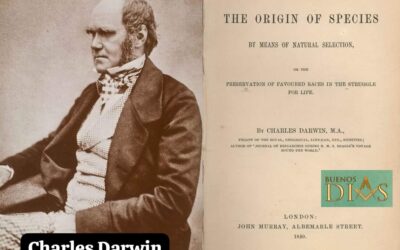 Este 24 de noviembre es el Día del Orgullo Primate, ¿por qué surge?