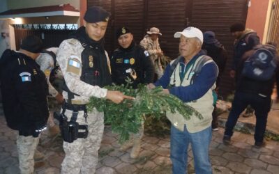 Decomisan más de 3 mil ramillas de pinabete en mercado de Quetzaltenango