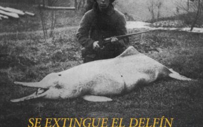 En 2006 se declaraba oficialmente extinto al delfín chino de río
