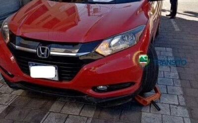 Cambios en el procedimiento de uso de cepos