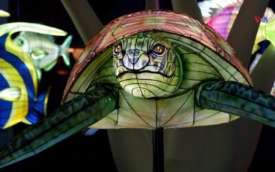 Bogotá enciende la Navidad con espectáculo de luces inspirado en elementos de la naturaleza