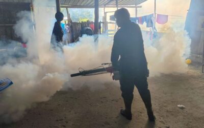 La OPS confirma que el dengue alcanza infecciones “alarmantes” en las Américas