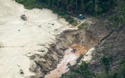 ¿Tesoro envenenado? Los efectos de la extracción ilegal de oro en la Amazonía peruana