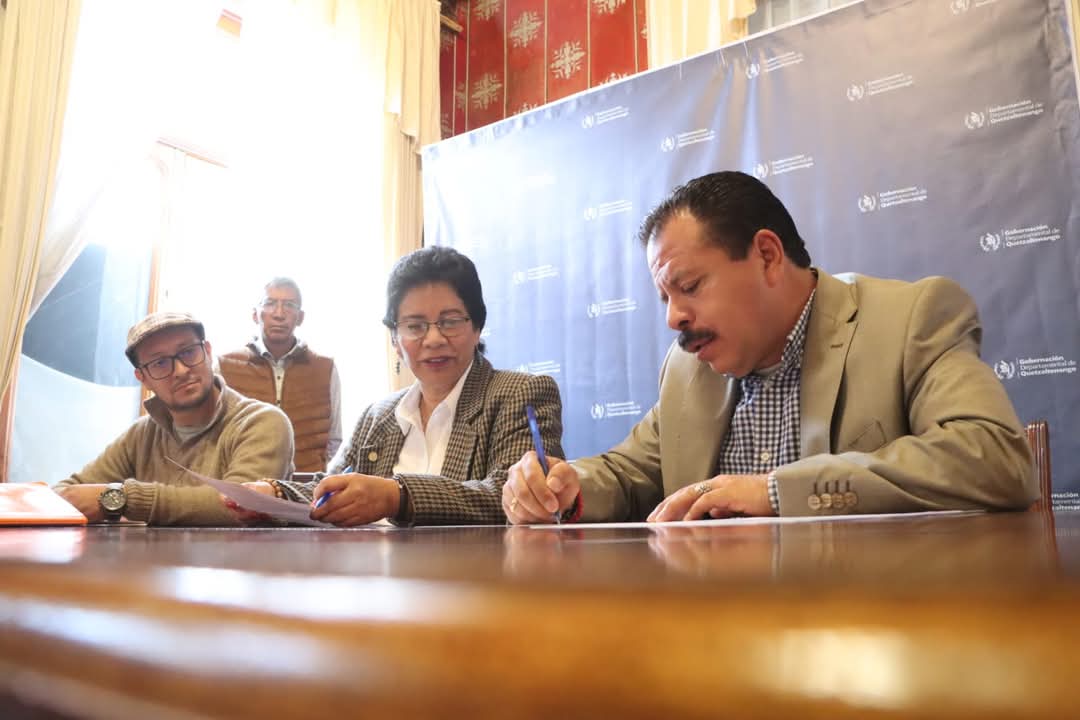 f51b8065-246f-4ad5-93e7-3ddeaf4c06ba