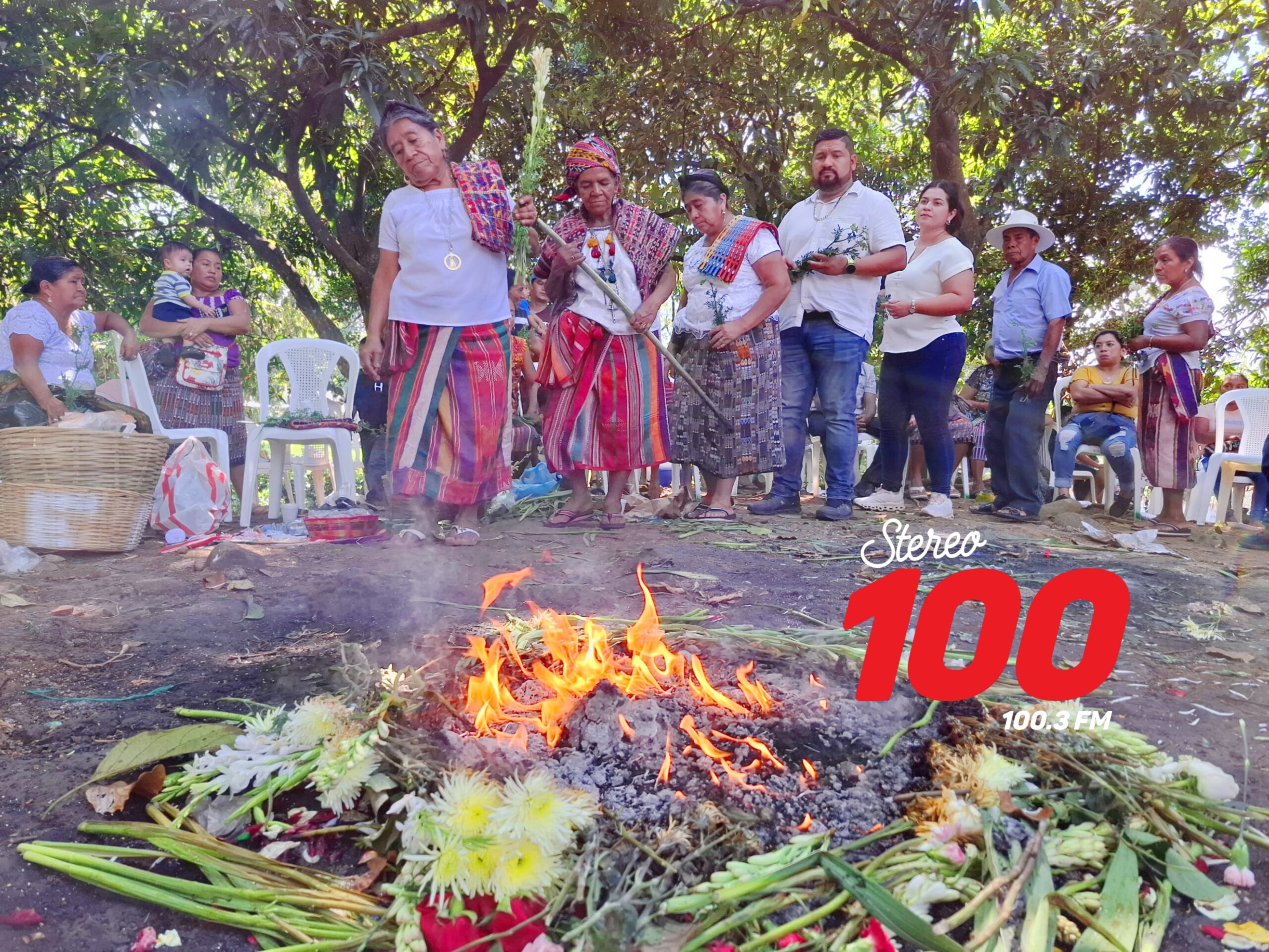 f7a23645-627f-4221-8cec-7e1ffe5e698c