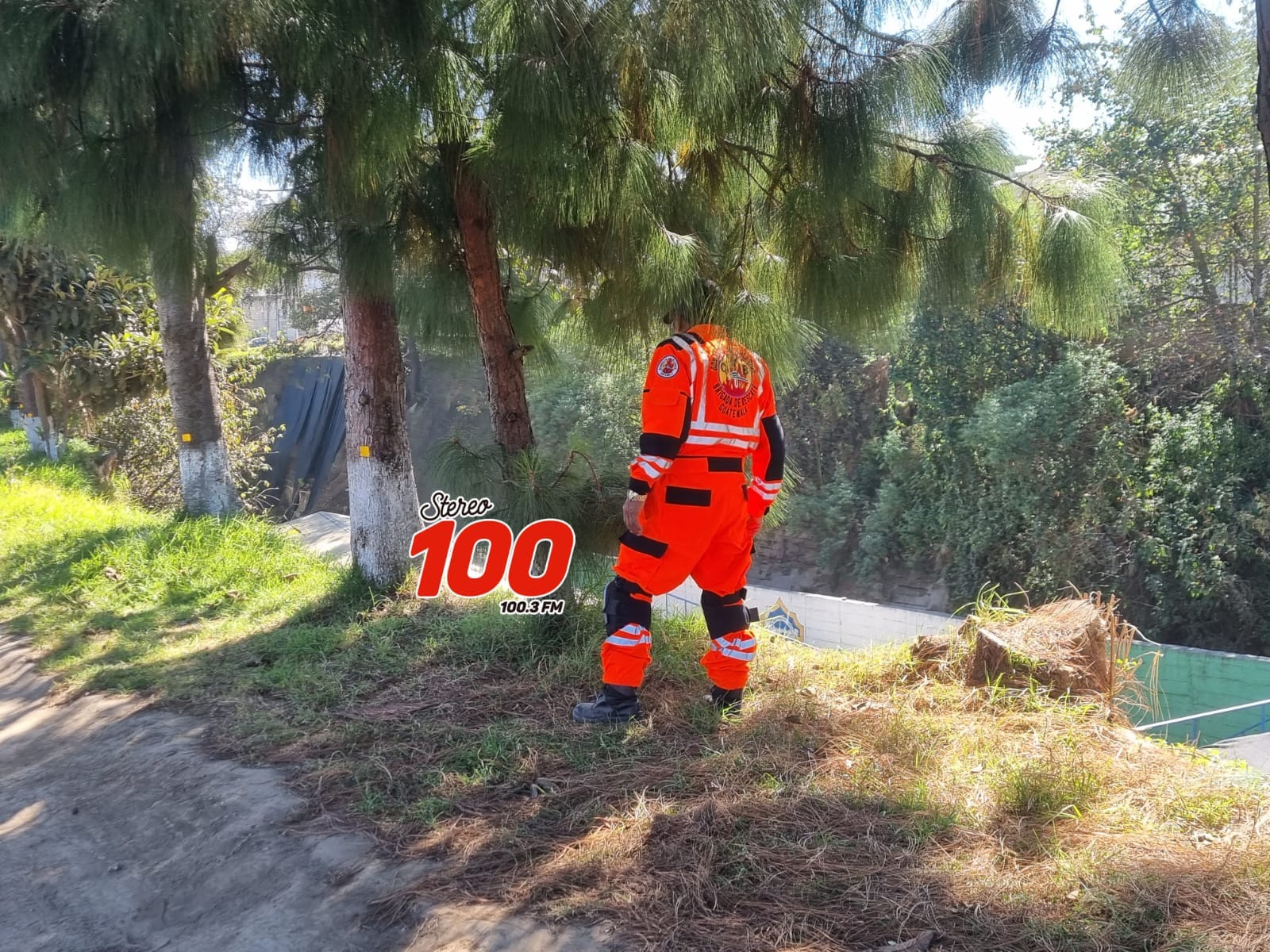 fdcb0d21-da8d-4e01-b869-e69a7cd42120