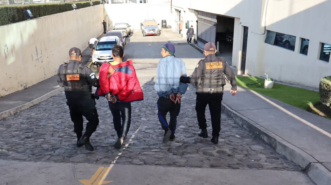 29b93a99-087e-45c4-bfc8-d0438490d3bf