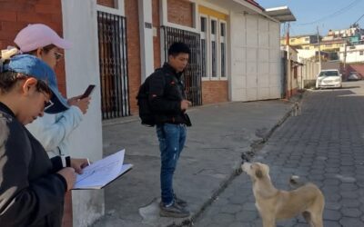 Autoridades de salud desarrollan estudio para estimar la población de perros en Quetzaltenango