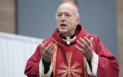 Traslado de cardenal McElroy a Washington es visto como respuesta del Vaticano a previsibles políticas de Trump