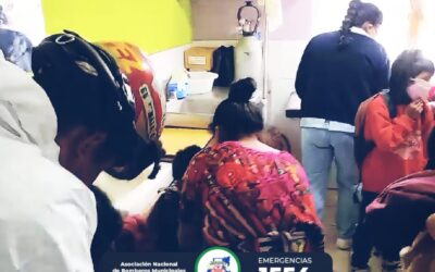 Ataque de abejas durante inauguración del ciclo escolar 2025 en El Quiché