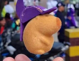 Prohíben uso de capibaras en cortejos procesionales