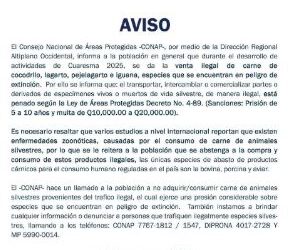 Conap alerta sobre sanciones por transportar, intercambiar o comercializar vida silvestre