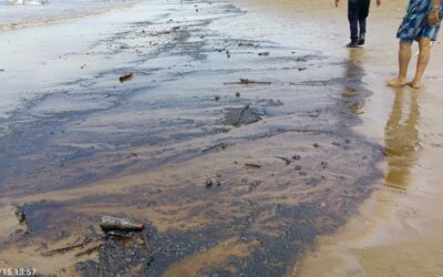 Derrame de petróleo en cinco ríos deja al menos 15.000 afectados en Ecuador