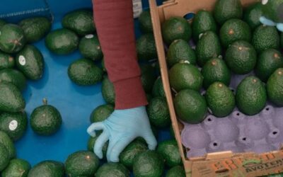 Centroamérica no puede sustituir a México en comercio con EEUU, pero aranceles le abren oportunidades