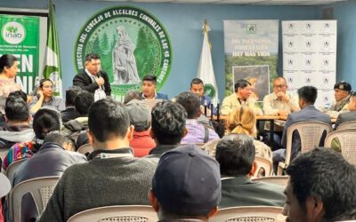 Definen estrategia para evitar daños a los bosques en Totonicapán