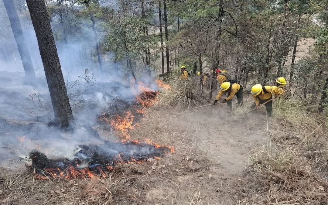 Se reportó incendio en aldea Nimapa, Totonicapán.