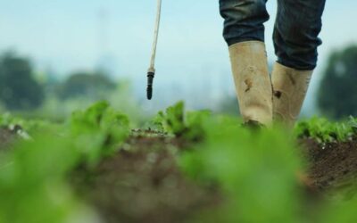 Pronostican una Semana Santa calurosa en Guatemala