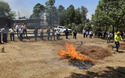 Inab capacita sobre importancia de bosques y prevención de delitos forestales
