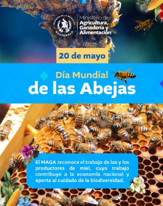 ABEJAS