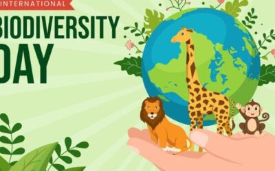 ¿Por qué surge el Día Internacional de la Diversidad Biológica?