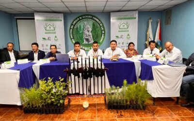Lanzan campaña de Reforestación 2025 en Totonicapán: «Cuidando el Refugio de los Abuelos»