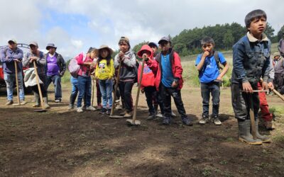 Desarrollan jornada de restauración ambiental en Sololá