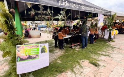 Alumnos desarrollan Feria Ambiental en Totonicapán