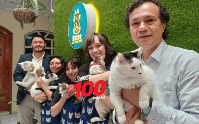 Café en Quetzaltenango nace por amor a los gatos