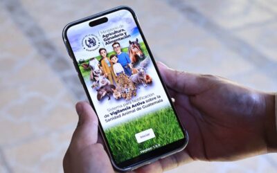 Presentan aplicación para reportar casos de Gusano Barrenador del Ganado