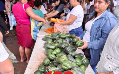 Mercadito de Verduras llega a comunidad de Santa Cruz Muluá