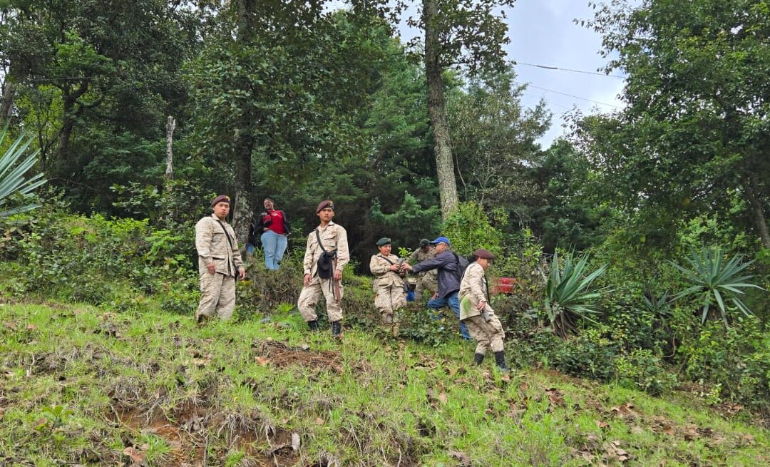 Reforestación en San Carlos Sija