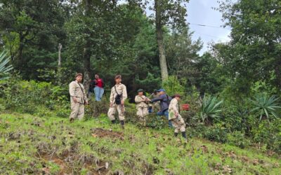 Reforestación en San Carlos Sija