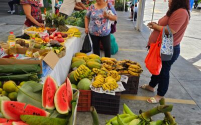 Desarrollan en Coatepeque segunda Feria del Agricultor