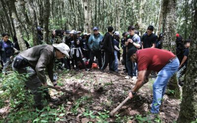 Instituciones se unen para reforestar zonas de recarga hídrica en Olintepeque