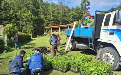 Finaliza campaña de reforestación 2025 en Totonicapán