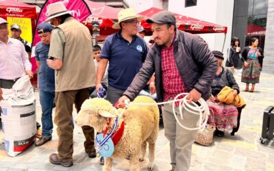 Festival del Cordero en Totonicapán