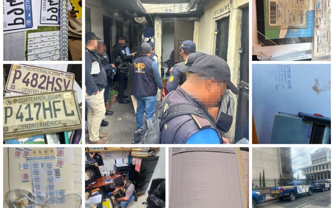 Muchos documentos falsos y una captura, tras operativos