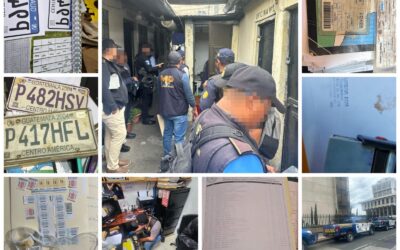 Muchos documentos falsos y una captura, tras operativos