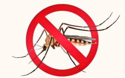 Este 26 de agosto es el Día Internacional contra el Dengue