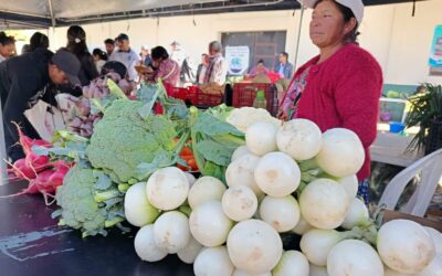 MAGA desarrolla este viernes la Feria del Agricultor en Quetzaltenango