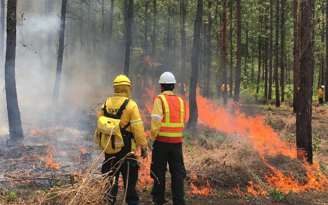 Inab controla más de 1 mil 600 incendios forestales en Guatemala