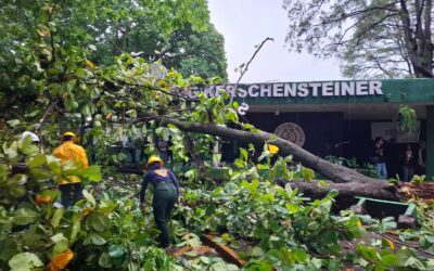 Fuerte tormenta en Suchitepéquez