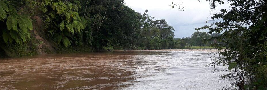 Boletin-Informativo-325-2025