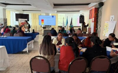 Desarrollan taller con organizaciones de mujeres en Totonicapán
