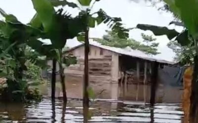 Conred reporta más de 6 mil viviendas afectadas por lluvias este año