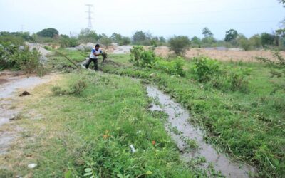 MAGA monitorea 197 municipios por saturación de suelos